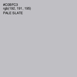 #C0BFC3 - Pale Slate Color Image